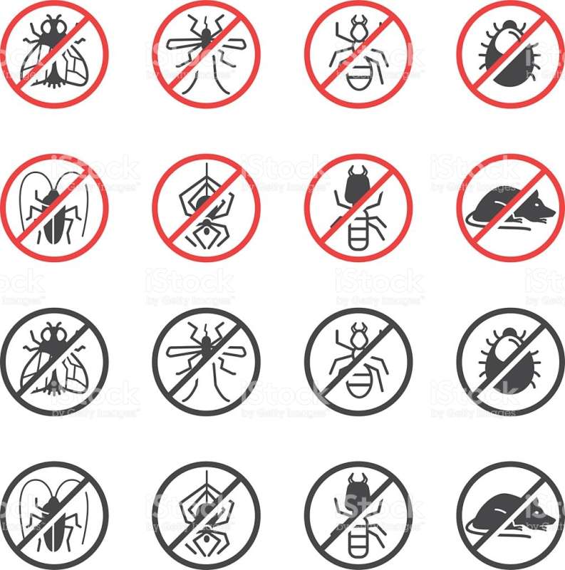 Tree Injection for Pest Control